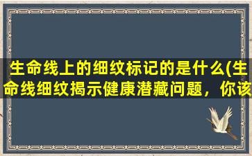 生命线上的细纹标记的是什么(生命线细纹揭示健康潜藏问题，你该如何解读？)