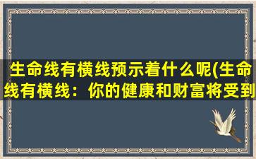 生命线有横线预示着什么呢(生命线有横线：你的健康和财富将受到考验)