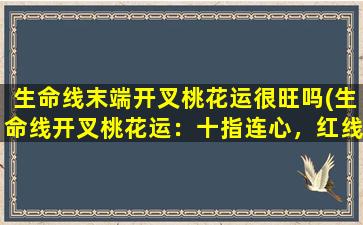 生命线末端开叉桃花运很旺吗(生命线开叉桃花运：十指连心，红线相扣，扬眉吐气！)