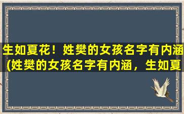 生如夏花！姓樊的女孩名字有内涵(姓樊的女孩名字有内涵，生如夏花，散发着绝美韵味的人生哲学)