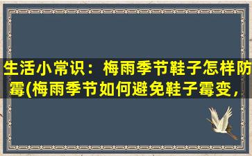 生活小常识：梅雨季节鞋子怎样防霉(梅雨季节如何避免鞋子霉变，防止细菌繁殖的方法分享)