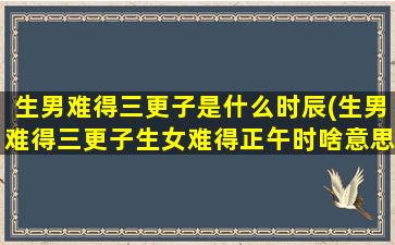 生男难得三更子是什么时辰(生男难得三更子生女难得正午时啥意思)