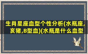 生肖星座血型个性分析(水瓶座,亥猪,B型血)(水瓶是什么血型）