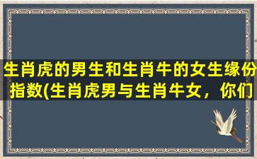 生肖虎的男生和生肖牛的女生缘份指数(生肖虎男与生肖牛女，你们的缘分值有多高？)