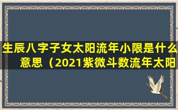 生辰八字子女太阳流年小限是什么意思（2021紫微斗数流年太阳太阴）