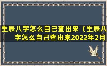 生辰八字怎么自己查出来（生辰八字怎么自己查出来2022年2月12日9点钟）