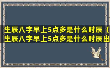 生辰八字早上5点多是什么时辰（生辰八字早上5点多是什么时辰出生）