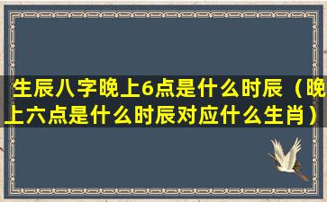 生辰八字晚上6点是什么时辰（晚上六点是什么时辰对应什么生肖）