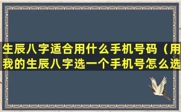 生辰八字适合用什么手机号码（用我的生辰八字选一个手机号怎么选）