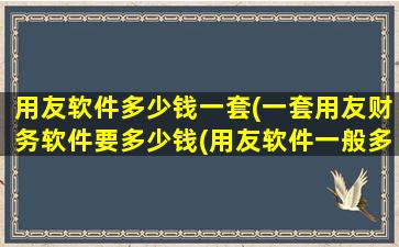 用友软件多少钱一套(一套用友财务软件要多少钱(用友软件一般多少钱))