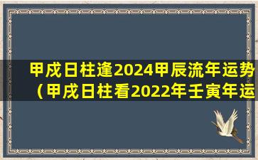 甲戍日柱逢2024甲辰流年运势（甲戌日柱看2022年壬寅年运势）