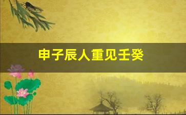 申子辰人重见壬癸