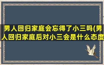 男人回归家庭会忘得了小三吗(男人回归家庭后对小三会是什么态度)