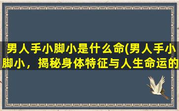 男人手小脚小是什么命(男人手小脚小，揭秘身体特征与人生命运的关联！)