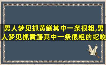 男人梦见抓黄鳝其中一条很粗,男人梦见抓黄鳝其中一条很粗的蛇咬我