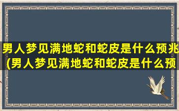 男人梦见满地蛇和蛇皮是什么预兆(男人梦见满地蛇和蛇皮是什么预兆周公解梦)