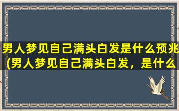 男人梦见自己满头白发是什么预兆(男人梦见自己满头白发，是什么寓意？)