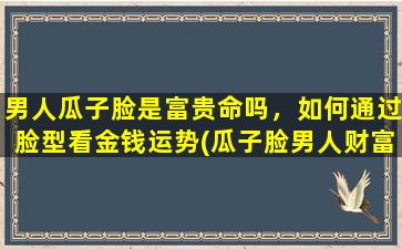 男人瓜子脸是富贵命吗，如何通过脸型看金钱运势(瓜子脸男人财富运如何？通过脸型看金钱运势！)