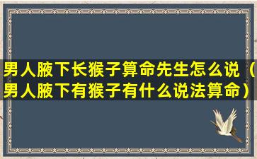 男人腋下长猴子算命先生怎么说（男人腋下有猴子有什么说法算命）