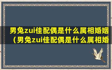 男兔zui佳配偶是什么属相婚姻（男兔zui佳配偶是什么属相婚姻状况）