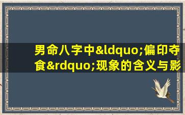 男命八字中“偏印夺食”现象的含义与影响是什么