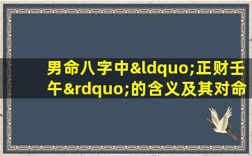 男命八字中“正财壬午”的含义及其对命运的影响是什么