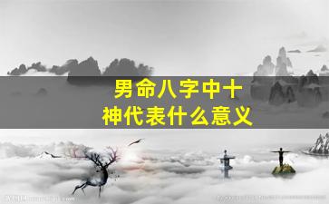 男命八字中十神代表什么意义