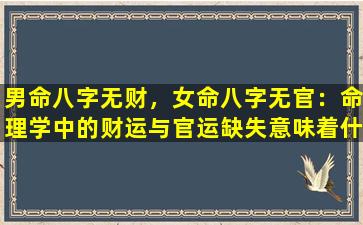 男命八字无财，女命八字无官：命理学中的财运与官运缺失意味着什么