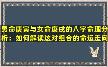 男命庚寅与女命庚戌的八字命理分析：如何解读这对组合的命运走向