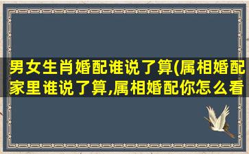 男女生肖婚配谁说了算(属相婚配家里谁说了算,属相婚配你怎么看)