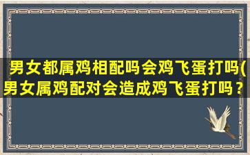 男女都属鸡相配吗会鸡飞蛋打吗(男女属鸡配对会造成鸡飞蛋打吗？让我们探究一下！)