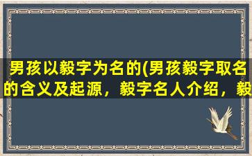 男孩以毅字为名的(男孩毅字取名的含义及起源，毅字名人介绍，毅字名诗欣赏及寓意分析)