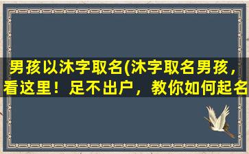 男孩以沐字取名(沐字取名男孩，看这里！足不出户，教你如何起名！)