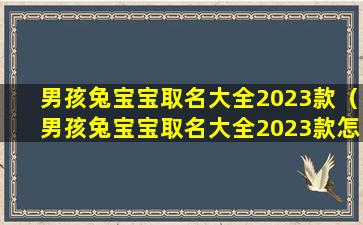 男孩兔宝宝取名大全2023款（男孩兔宝宝取名大全2023款怎么取）