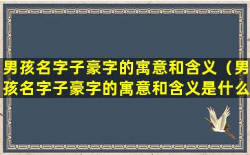 男孩名字子豪字的寓意和含义（男孩名字子豪字的寓意和含义是什么）