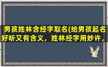 男孩姓林含经字取名(给男孩起名好听又有含义，姓林经字用妙许，激发内涵富SEO)