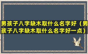 男孩子八字缺木取什么名字好（男孩子八字缺木取什么名字好一点）