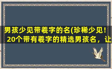 男孩少见带羲字的名(珍稀少见！20个带有羲字的精选男孩名，让您的宝贝与众不同！)