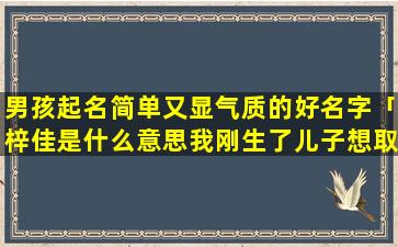 男孩起名简单又显气质的好名字「梓佳是什么意思我刚生了儿子想取这个名字!请帮忙解释，谢谢」