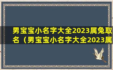 男宝宝小名字大全2023属兔取名（男宝宝小名字大全2023属兔取名叠字可以吗）