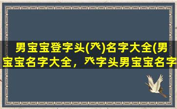 男宝宝登字头(癶)名字大全(男宝宝名字大全，癶字头男宝宝名字推荐)