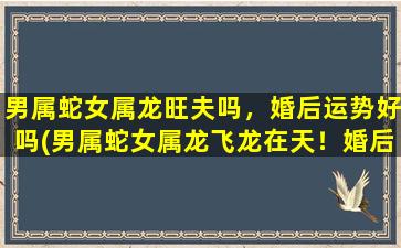 男属蛇女属龙旺夫吗，婚后运势好吗(男属蛇女属龙飞龙在天！婚后运势大吉大利！)