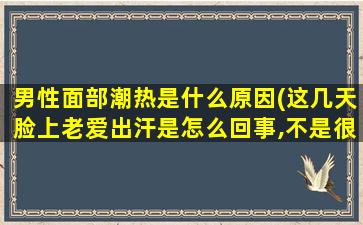 男性面部潮热是什么原因(这几天脸上老爱出汗是怎么回事,不是很热.)