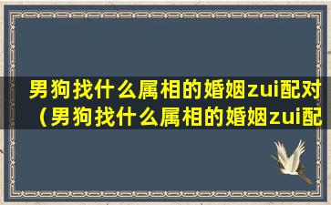 男狗找什么属相的婚姻zui配对（男狗找什么属相的婚姻zui配对女人）