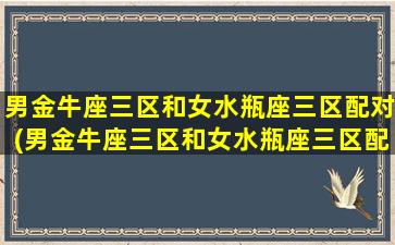 男金牛座三区和女水瓶座三区配对(男金牛座三区和女水瓶座三区配对好吗）