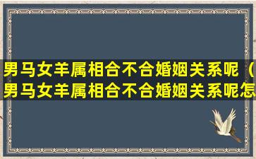 男马女羊属相合不合婚姻关系呢（男马女羊属相合不合婚姻关系呢怎么看）