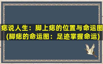 痣说人生：脚上痣的位置与命运图(脚痣的命运图：足迹掌握命运)