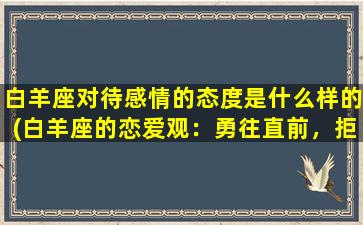 白羊座对待感情的态度是什么样的(白羊座的恋爱观：勇往直前，拒绝拖泥带水)