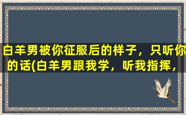 白羊男被你征服后的样子，只听你的话(白羊男跟我学，听我指挥，独霸SEO*！)