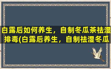 白露后如何养生，自制冬瓜茶祛湿排毒(白露后养生，自制祛湿冬瓜茶，轻松排毒换季好身体)